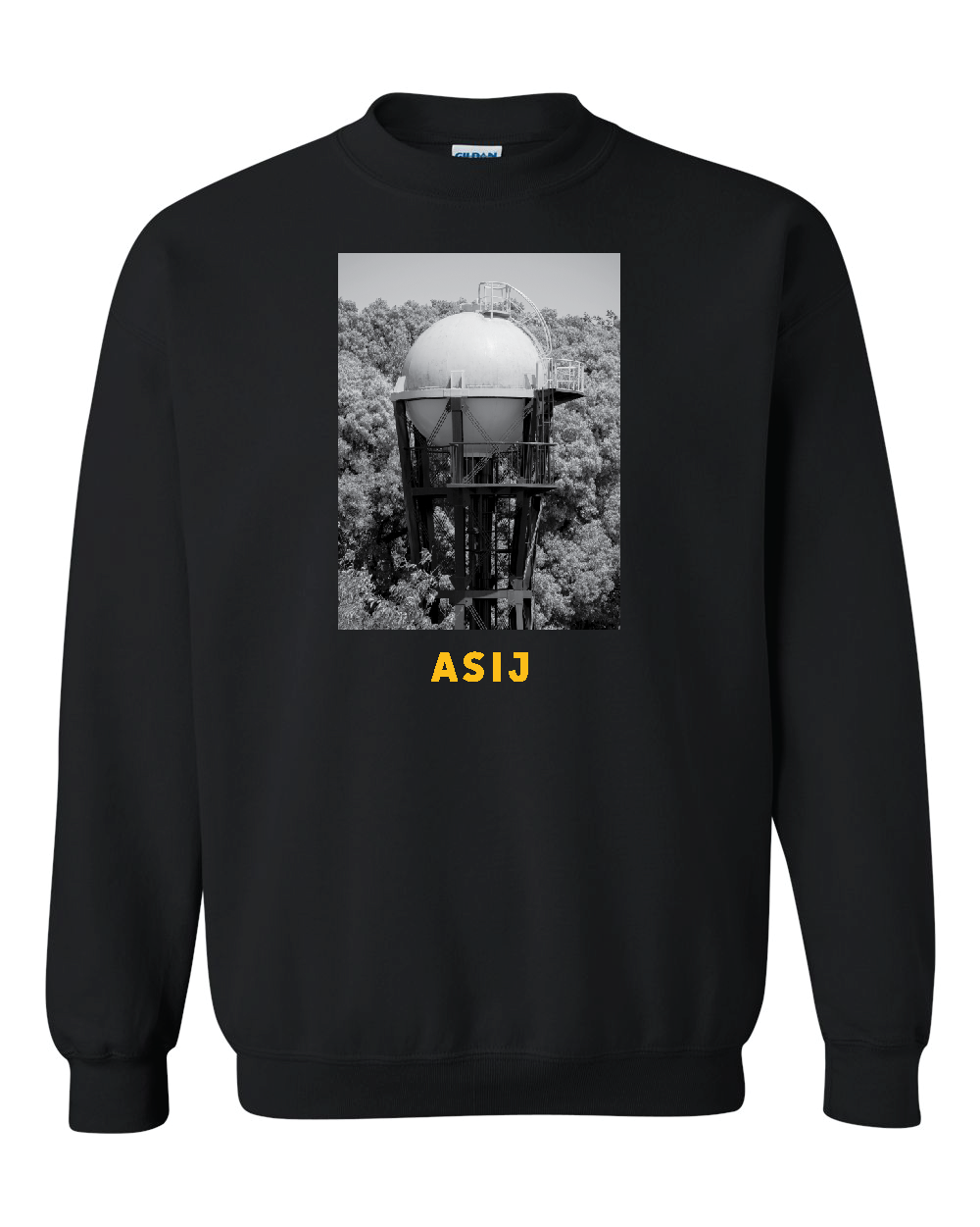 ASIJ Water Tower